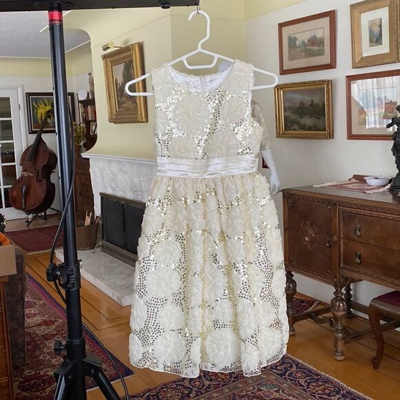 Cinderella Little Girl’s Party Dress - Picture 1 of 13